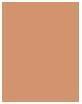 Produktbild L'Oréal Paris Infaillible 24H Fresh Wear Matte Bronzer (250 Light, Bronzer, 9 g)