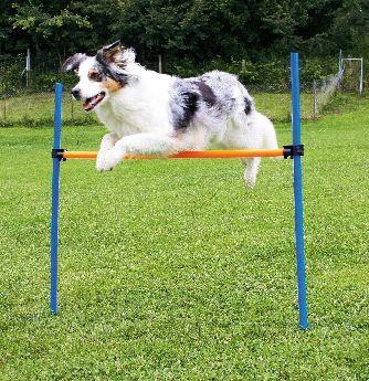 Image du produit Pawise Agility Hurdle 116cm de hauteur - (636.9002) (Taille unique, Agility)