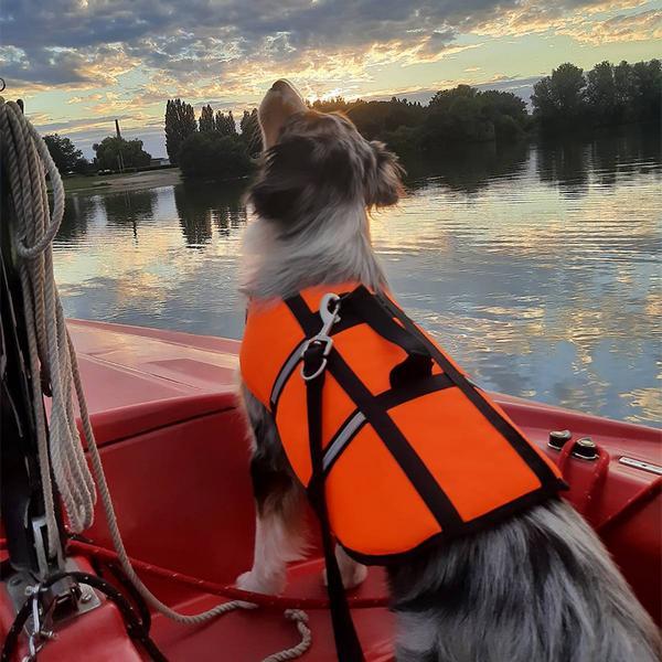 Produktbild Nobby Hunde Schwimmhilfe (XS, Hundeschwimmweste)