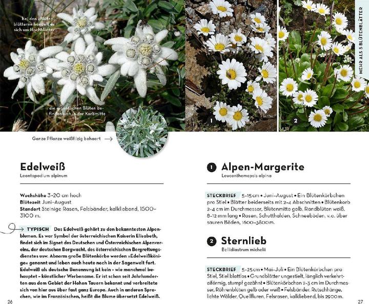 Produktbild Kosmos Basic Alpenblumen (Deutsch, Norbert Griebl, 2023)
