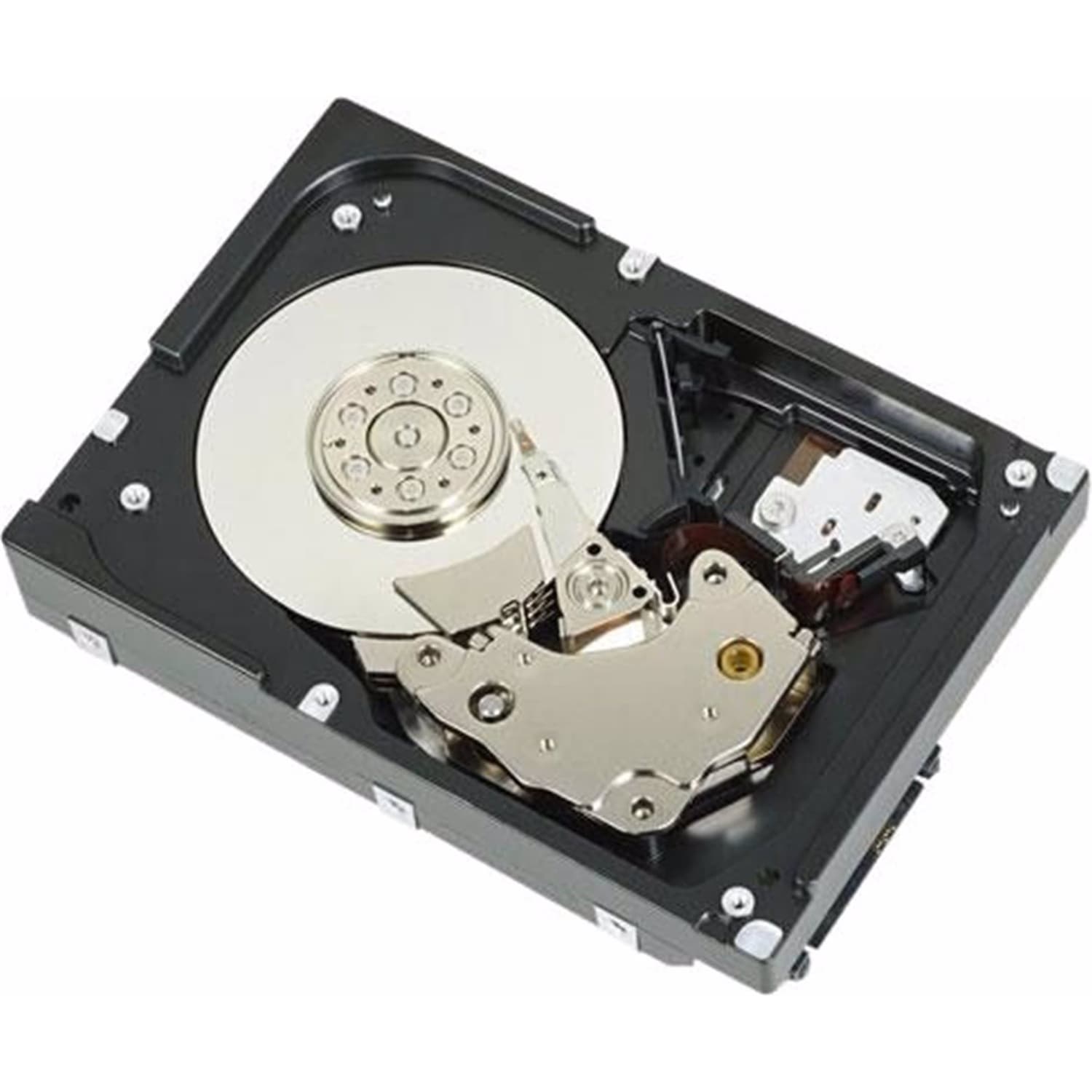 Dell HD (2 TB, 3.5"), Festplatte