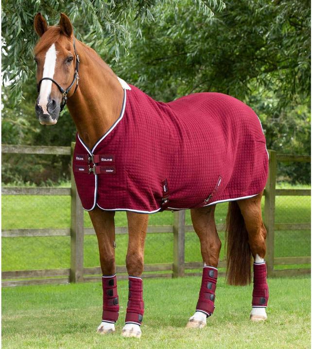 Premier Equine Premtex