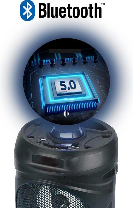 Actual product image Manta SPK815 Loudspeaker black (3 h, Rechargeable battery operated)