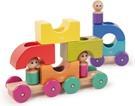 Actual product image Tegu Tram