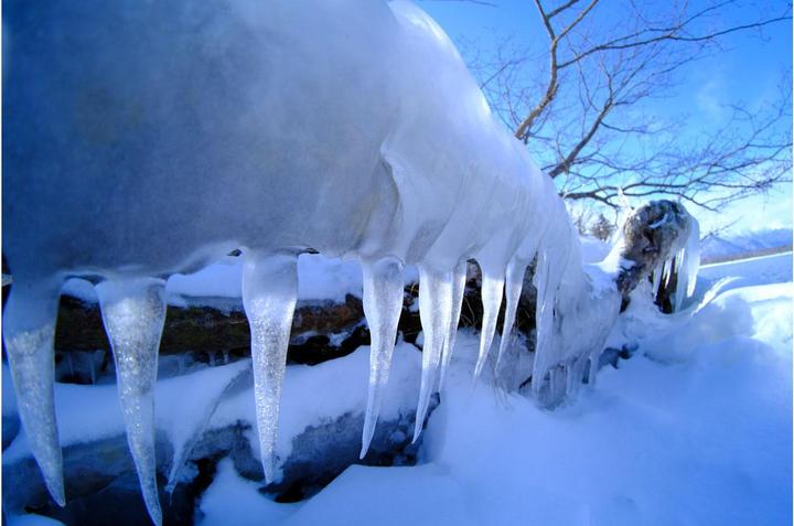 Produktbild Tokina SZ 8mm F2.8 MF Fuji X-Mount (Fujifilm X, APS-C / DX)