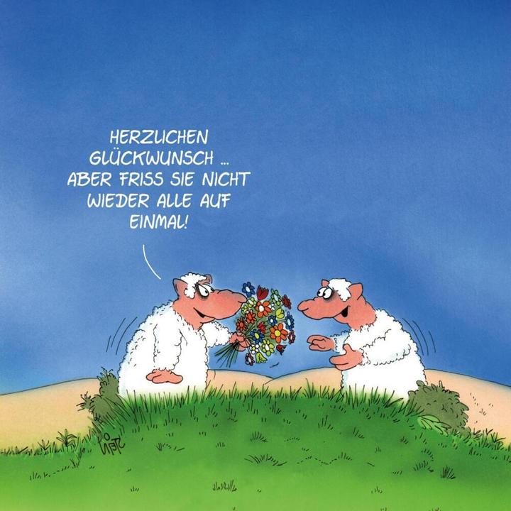 Produktbild Happy Birthday zum 80. Geburtstag (Deutsch, Uli Stein, 2023)