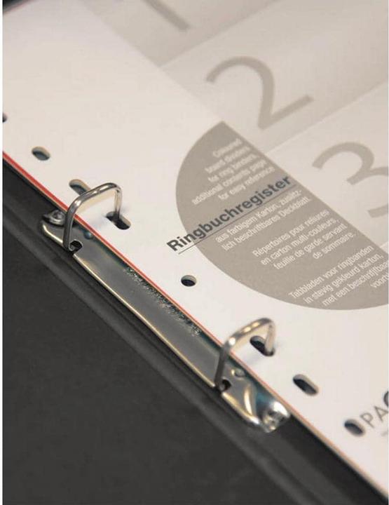 Actual product image Pagna Document folder 2-ring mechanism kraft paper nature (A4, 1x)