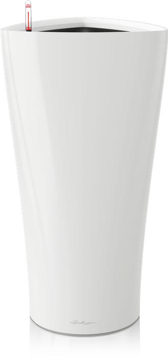 Lechuza Delta (39 x 75.50 cm)