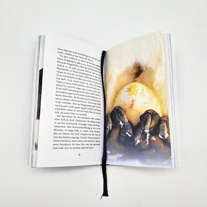 Actual product image Der Pinguin, der fliegen lernte