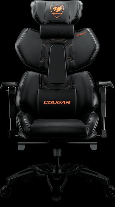 Actual product image Cougar Terminator