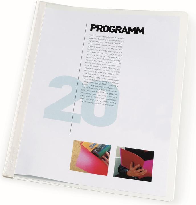 Produktbild Durable Sichthefter DURABIND (A4, 1 x)