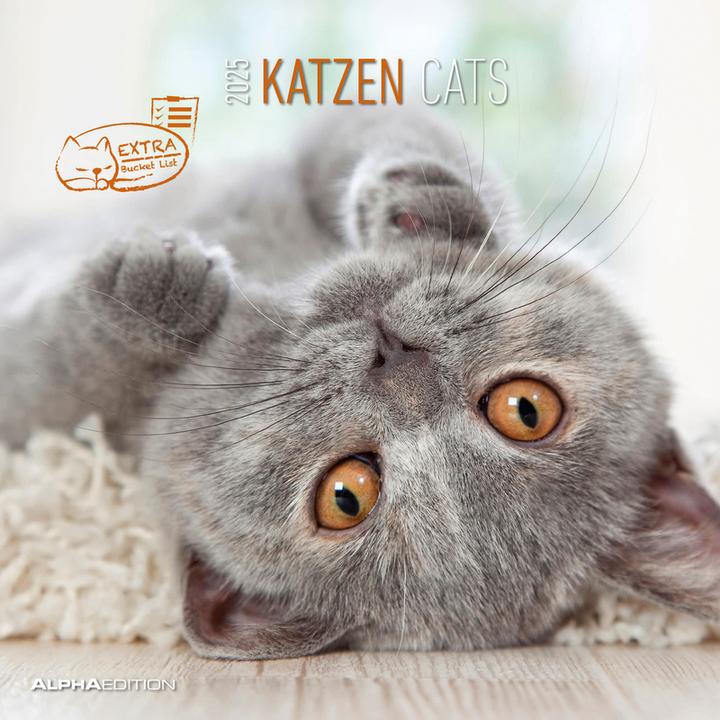 Image du produit Alpha Edition Katzen 2026 - Broschürenkalender 30x30 cm (30x60 geöffnet) - Kalender mit Platz für Notizen - Cats (30 x 30 cm, Couverture rigide, Allemand, Espagnol, Français, Néerlandais, Italien, Anglais)