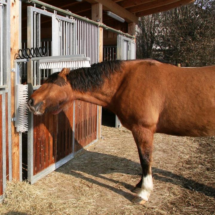 Productafbeelding Kerbl Veeborstel