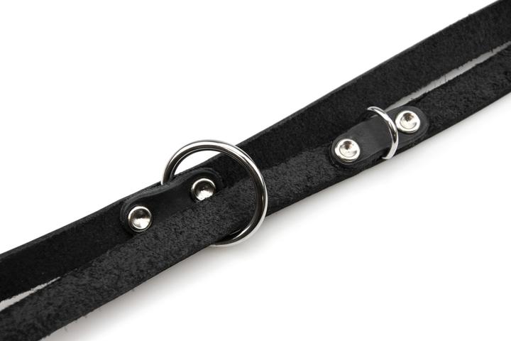 Actual product image Karlie Rodeo (M, Dog, Walks)