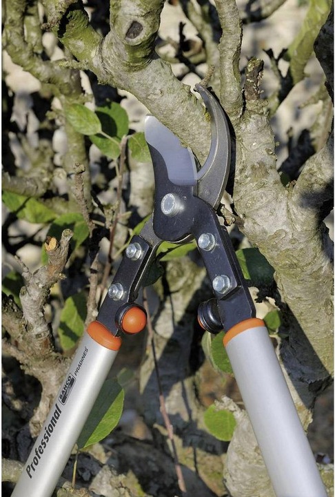Immagine prodotto Bahco Troncarami per alberi da frutta, P160-SL-75