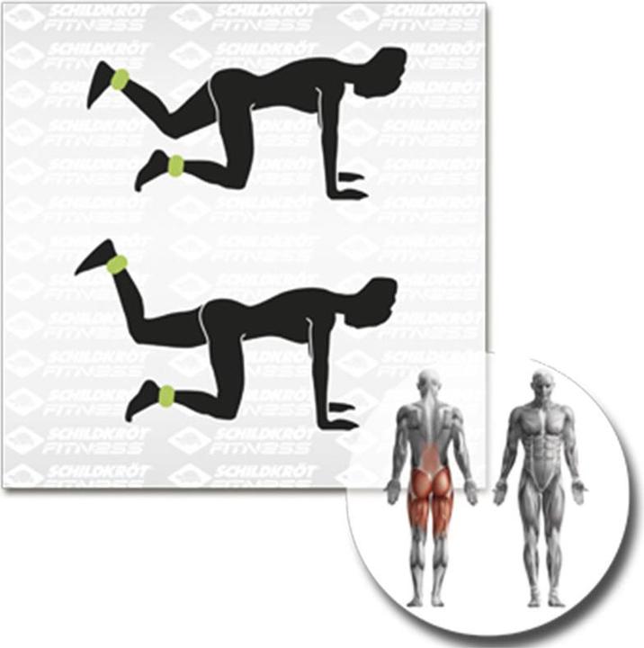 Immagine prodotto Schildkröt Gewichtsmanschette (2 x 2 kg)