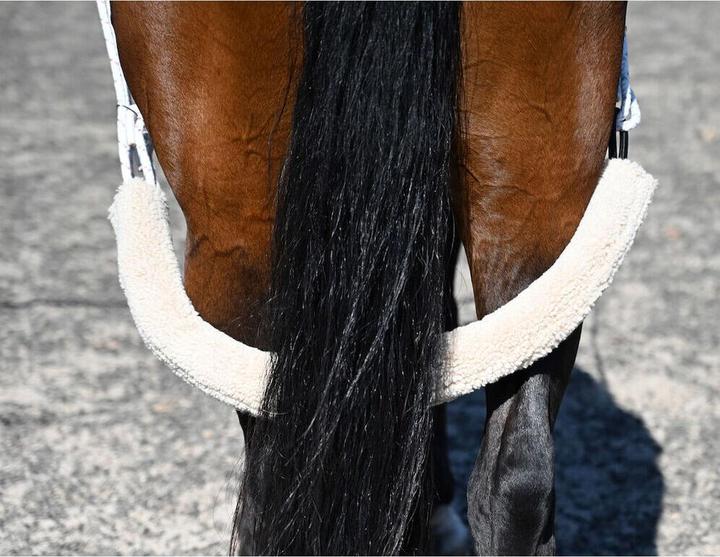 Actual product image Kincade Horse surfaix