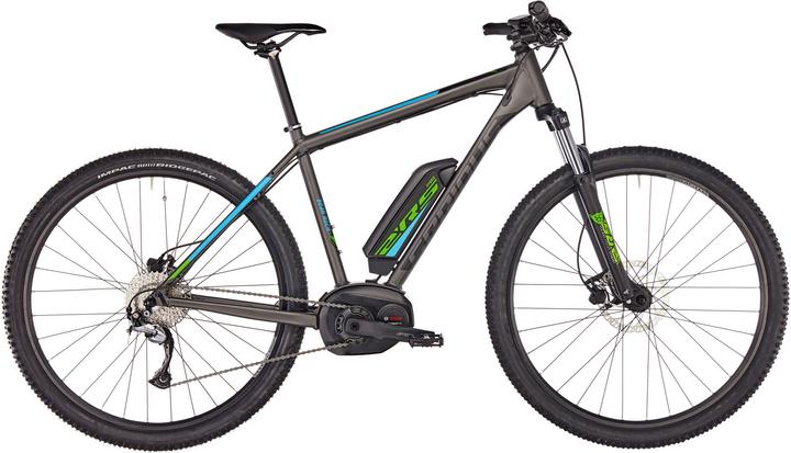 Serious Bear Rock (54 cm)