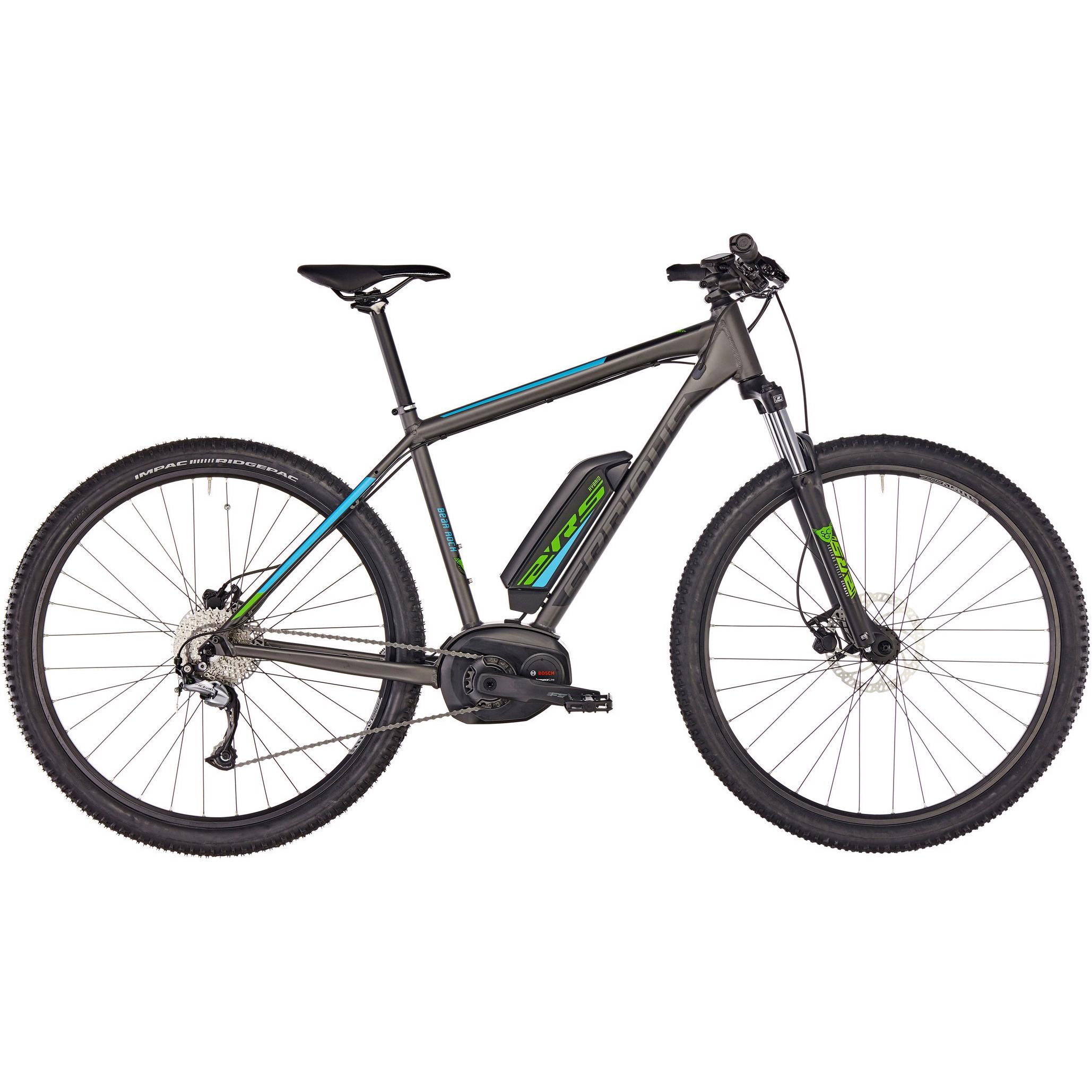 Serious_Bear_Rock_grey_matt_02