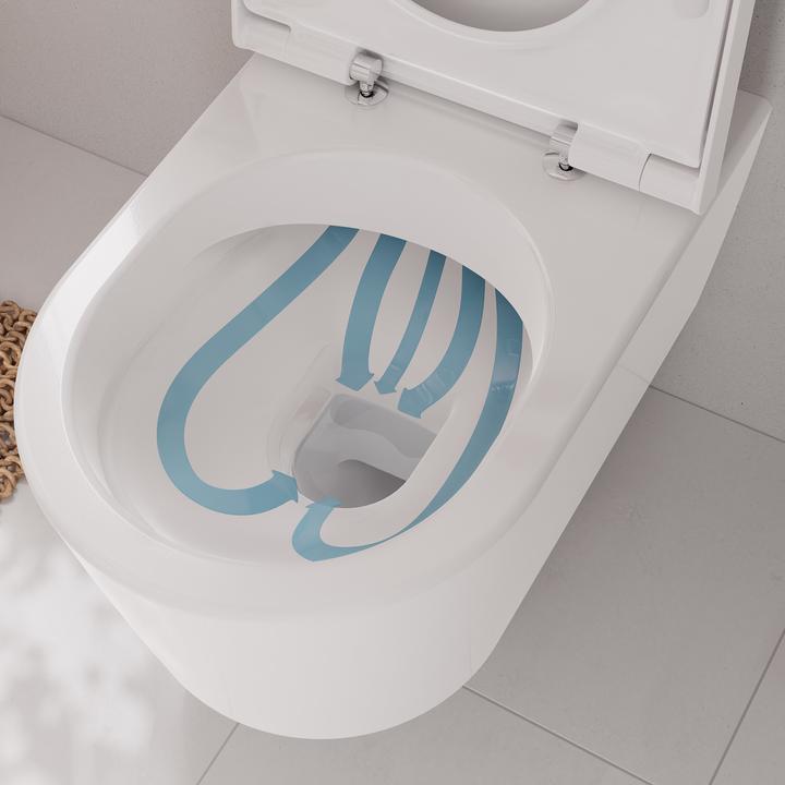 Actual product image hansgrohe EluPura S WC seat, SoftClose, QuickRelease, top mounting, 440x366mm, white