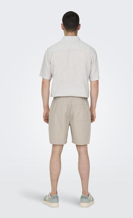 Actual product image Only & Sons Regular fit shorts Shorts (S)