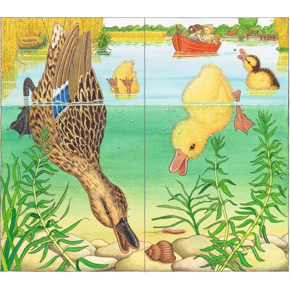 Thumbnail - Ich bin die kleine Ente, Kinderbücher von Helmut Spanner