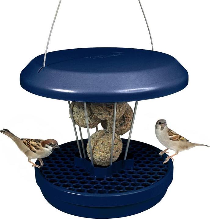 Productafbeelding Swissinno Vogel-Futtersilo Lucerne indigo SMART BIRDS