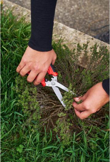 Produktbild Felco 456 Universalschere