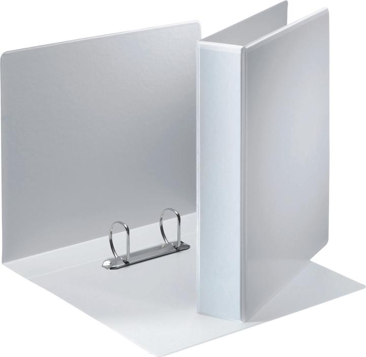 Productafbeelding Leitz ESS.PR.-RB,2D-RI,6,2CM WS 10S (A4, 40 mm, 10 Pcs.)