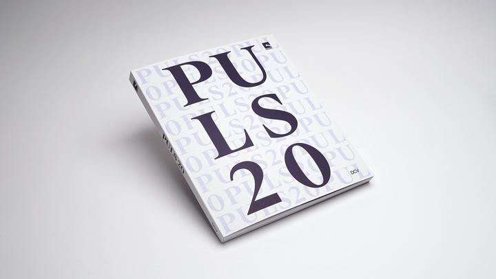 Actual product image Puls 20 (English, Romanian, Călin Dan, Calin Demetrescu Dan, Ruxandra Demetrescu, Simona Vilău, 2024)