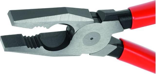 Polished head, Tongs black atramentised