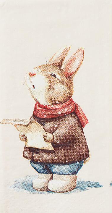 Produktbild IHR Papiertaschentücher "Singing"