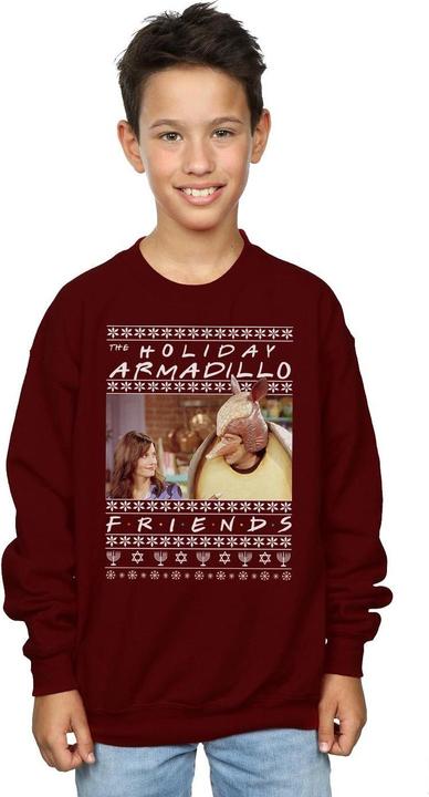 Produktbild Friends Fair Isle Holiday Armadillo Sweatshirt Jungen (152, 158)