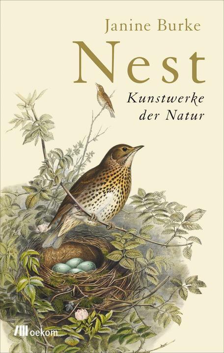 Produktbild Nest (Deutsch, Janine Burke, 2017)