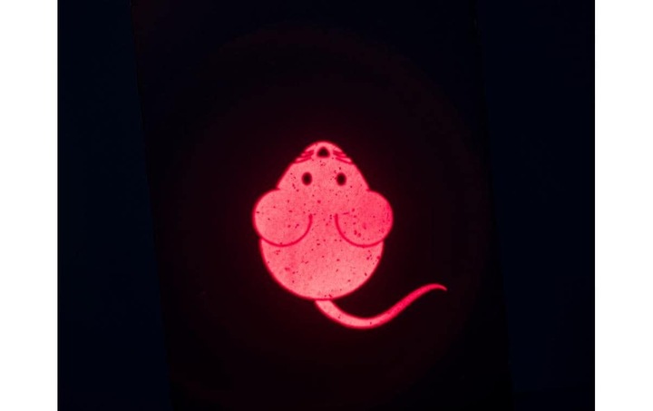 Actual product image Trixie Catch the Light (Cat ball toy)