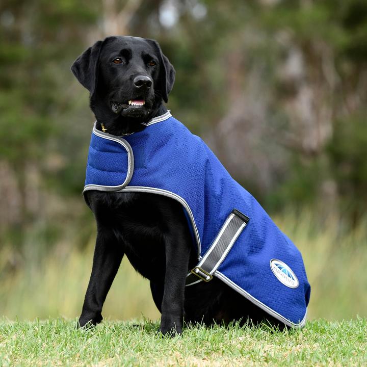 Produktbild Weatherbeeta ComFiTec Premier Free Parka (Hundemantel)