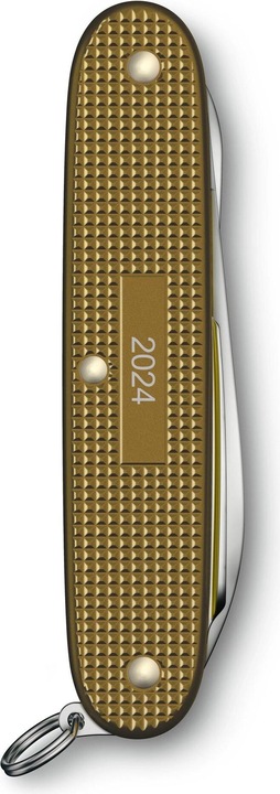 Immagine prodotto Victorinox Pioneer X Alox
