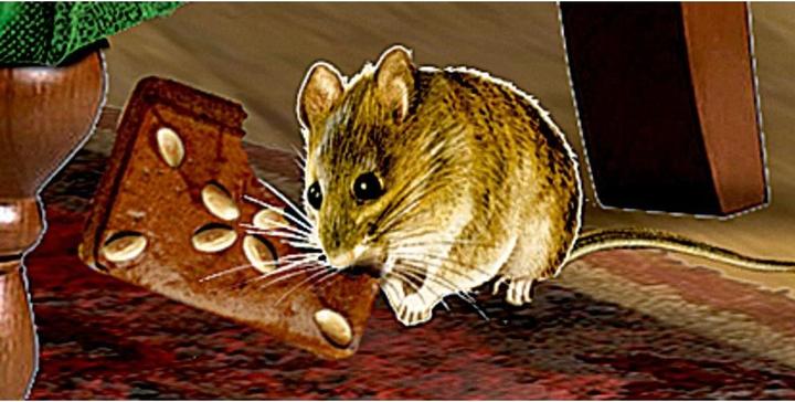 Actual product image Fireplace room