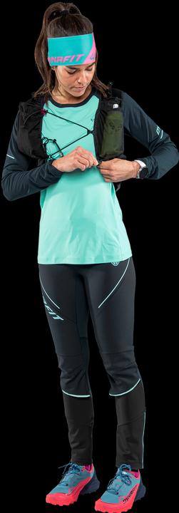 Produktbild Dynafit Alpine Pro Langarmshirt (38, M)