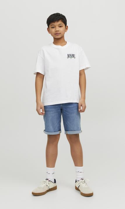 Produktbild Jack & Jones Regular Fit Regular Fit Shorts Mini Regular Fit Shorts (104)