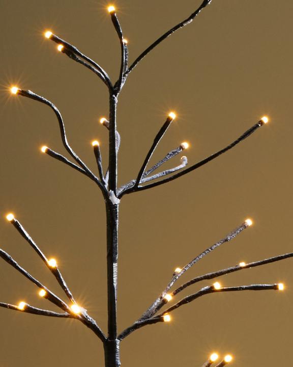 Actual product image Sirius Isaac