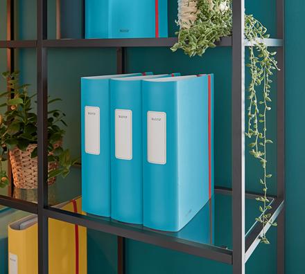 Actual product image Leitz Active Cosy (A4, 82 mm, 1 pcs.)