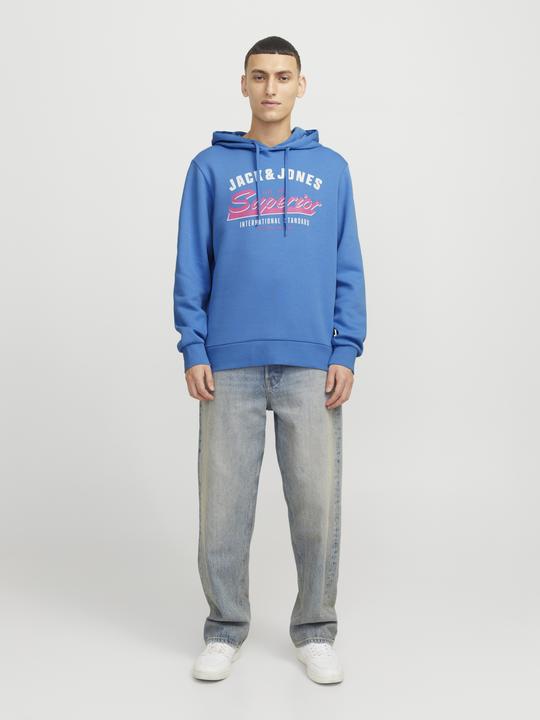 Immagine prodotto Jack & Jones JJELOGO SWEAT HOOD 2 COL 24/25 NOOS (XS)