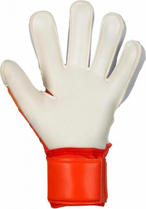 Produktbild Select Protection v24 Torwarthandschuhe (5)