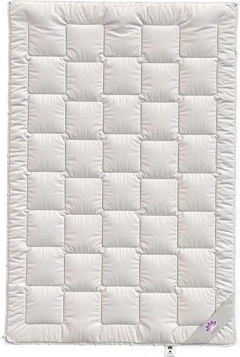 Actual product image Lotus Bettwaren Microfibre Duvet (1470 g, 200 x 210 cm)