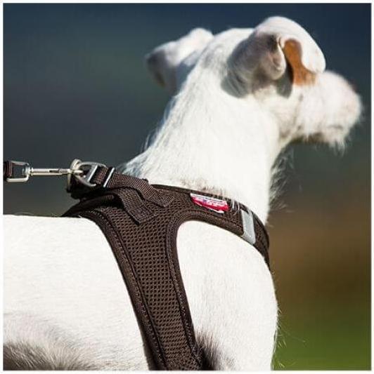 Image du produit Curli Vest Hundegeschirr Air-Mesh braun 3XS (3XS, Chien, Général)