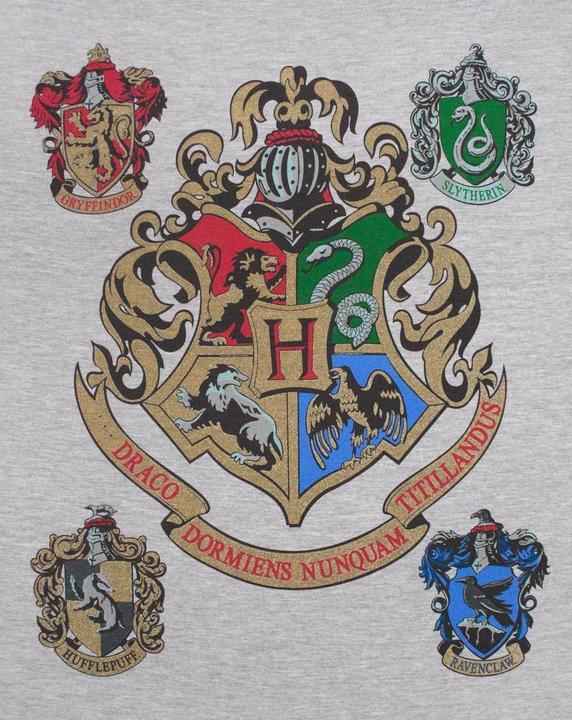 Produktbild Hogwarts RaglanOberteil (XXL)