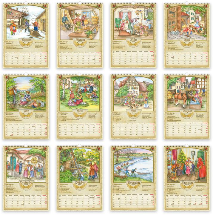 Immagine prodotto Trtsch Grobildkalender Bauernkalender 2026 mit Wetterprognosen Bauernregeln und Ferienterminen (30 x 42 cm)