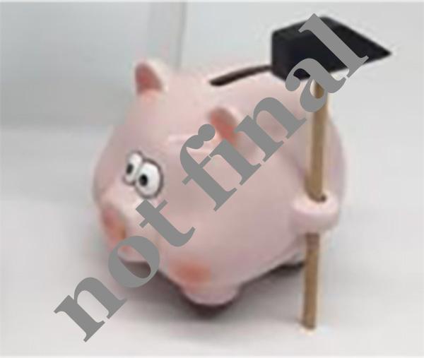 Idena Spaarpot varken keramiek 11x9,5x8cm