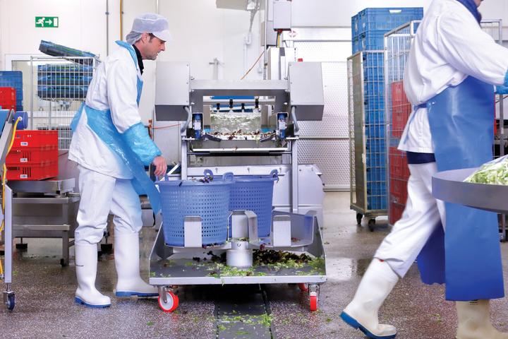 Actual product image Dunlop Berufsstiefel MultiGrip (O4, 44)